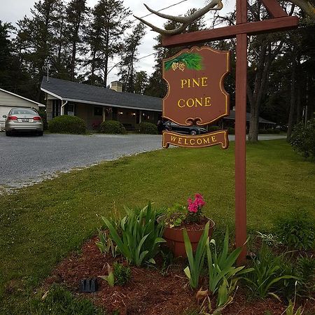 Pinecone Motel Sussex Zewnętrze zdjęcie