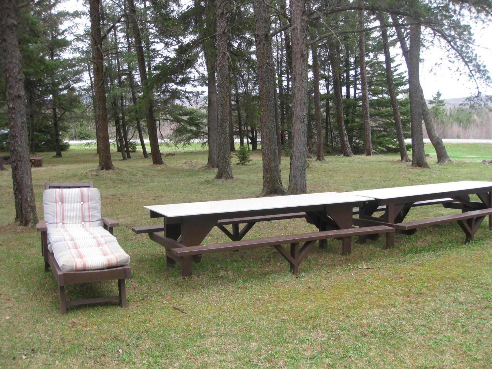 Pinecone Motel Sussex Zewnętrze zdjęcie