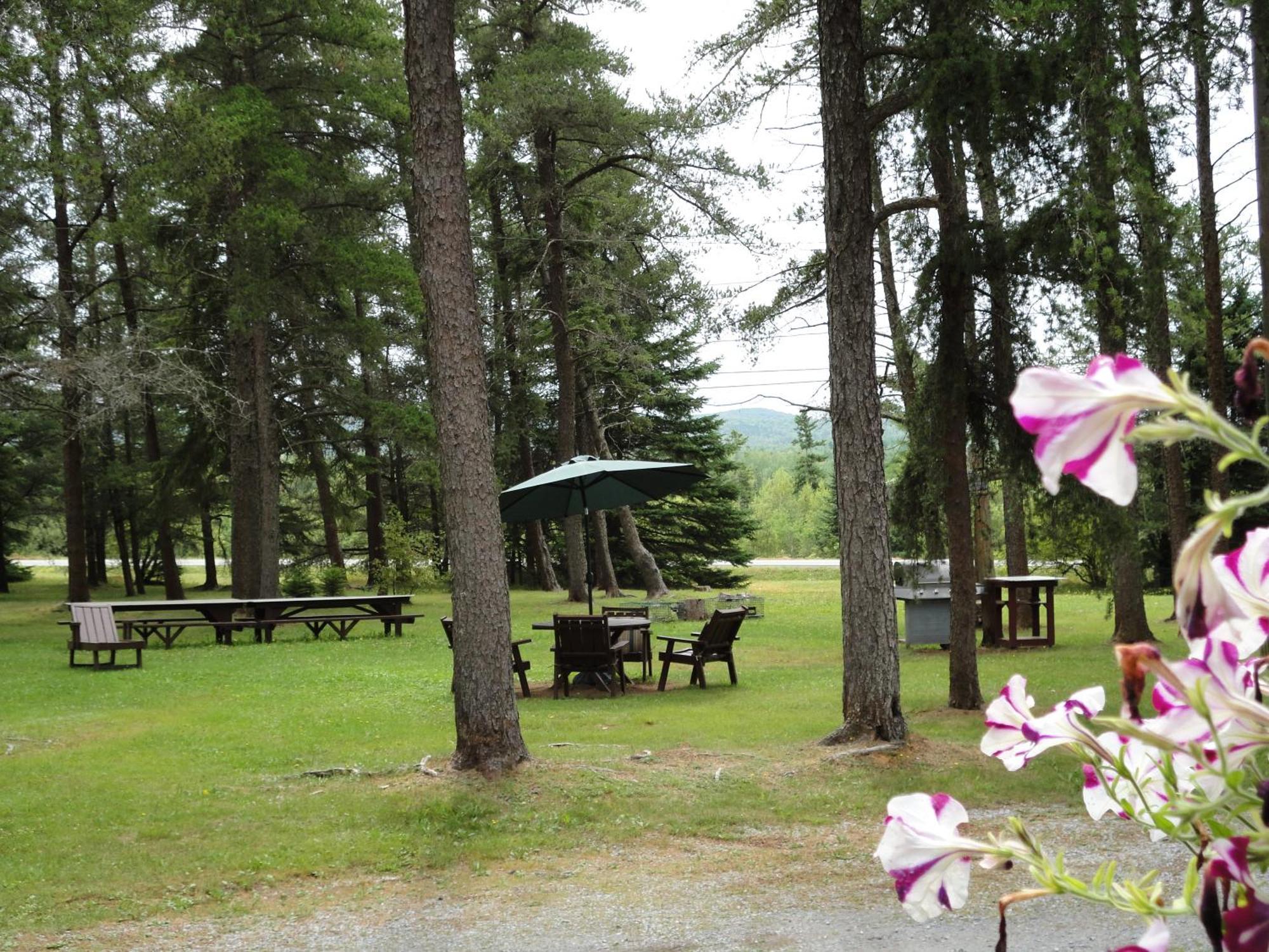 Pinecone Motel Sussex Zewnętrze zdjęcie