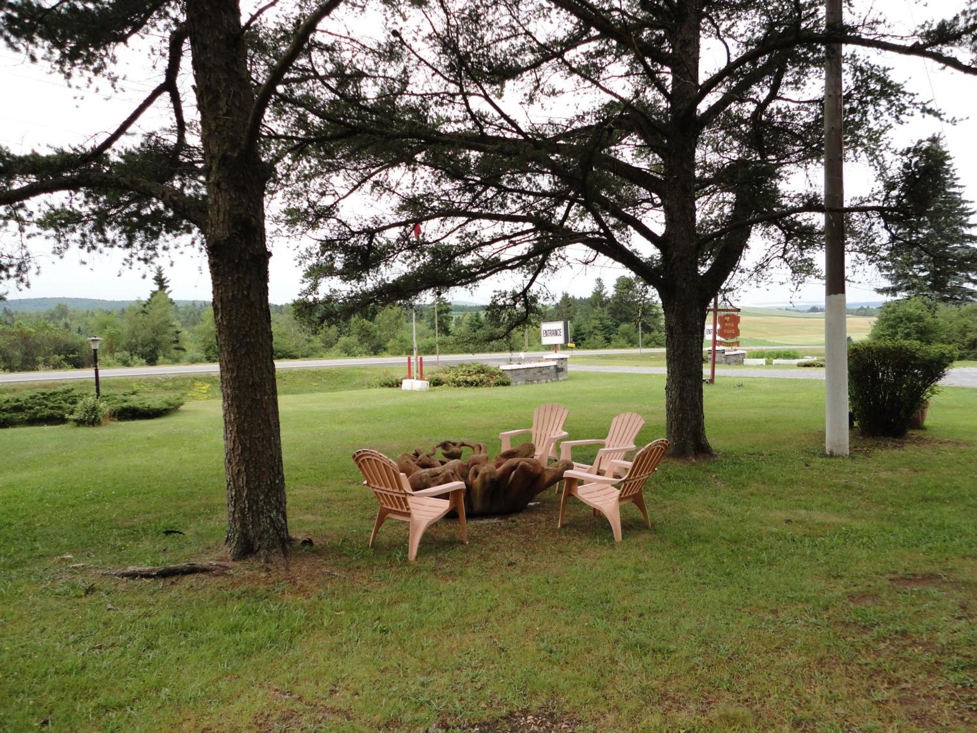 Pinecone Motel Sussex Zewnętrze zdjęcie