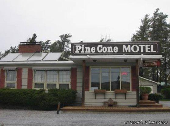 Pinecone Motel Sussex Zewnętrze zdjęcie