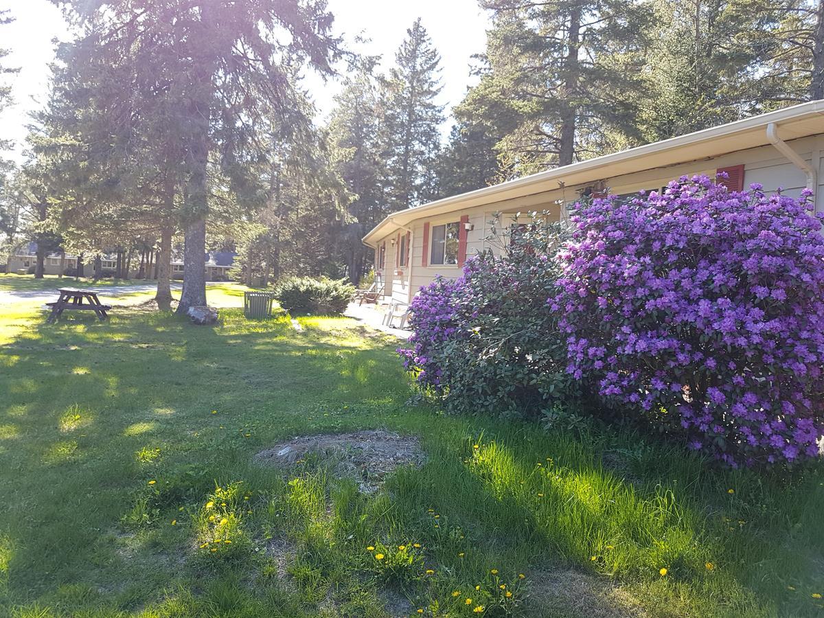 Pinecone Motel Sussex Zewnętrze zdjęcie