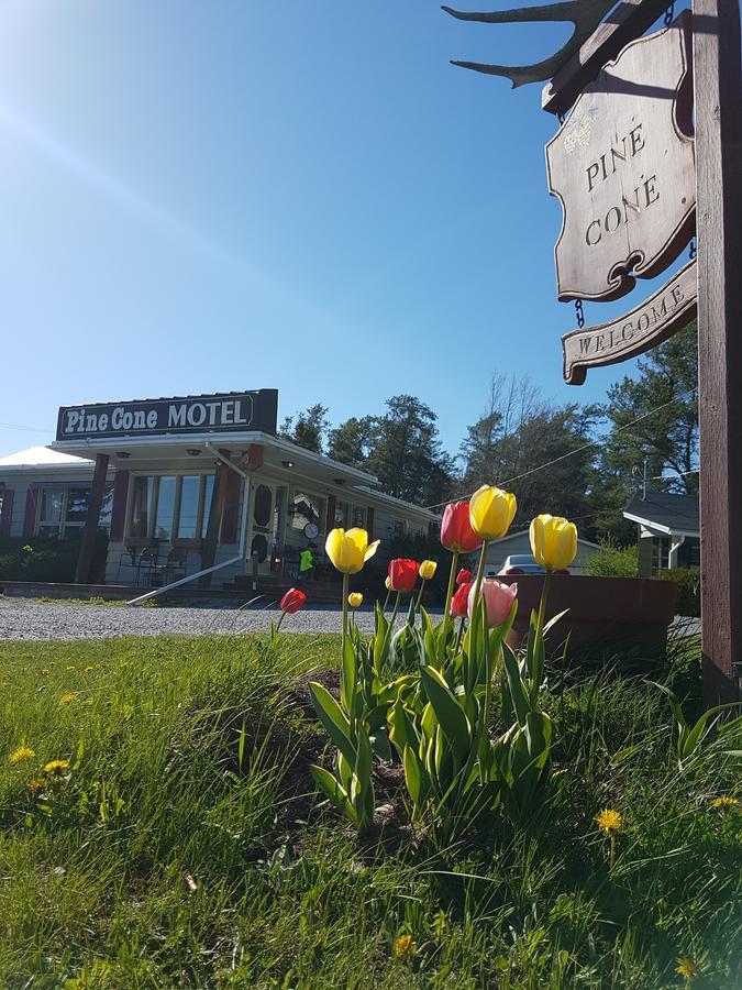 Pinecone Motel Sussex Zewnętrze zdjęcie