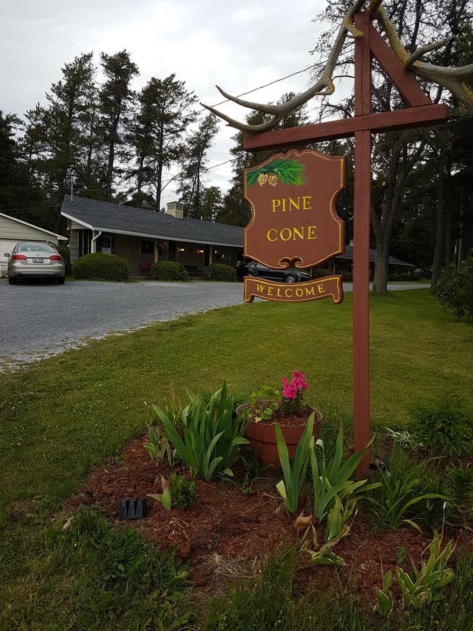 Pinecone Motel Sussex Zewnętrze zdjęcie
