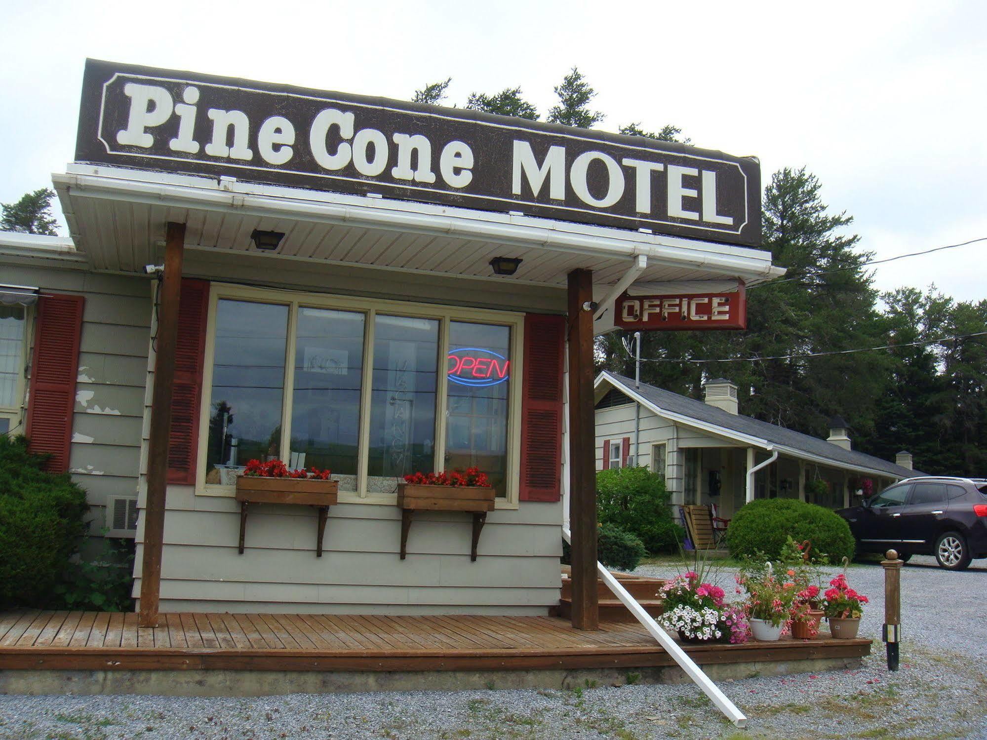 Pinecone Motel Sussex Zewnętrze zdjęcie