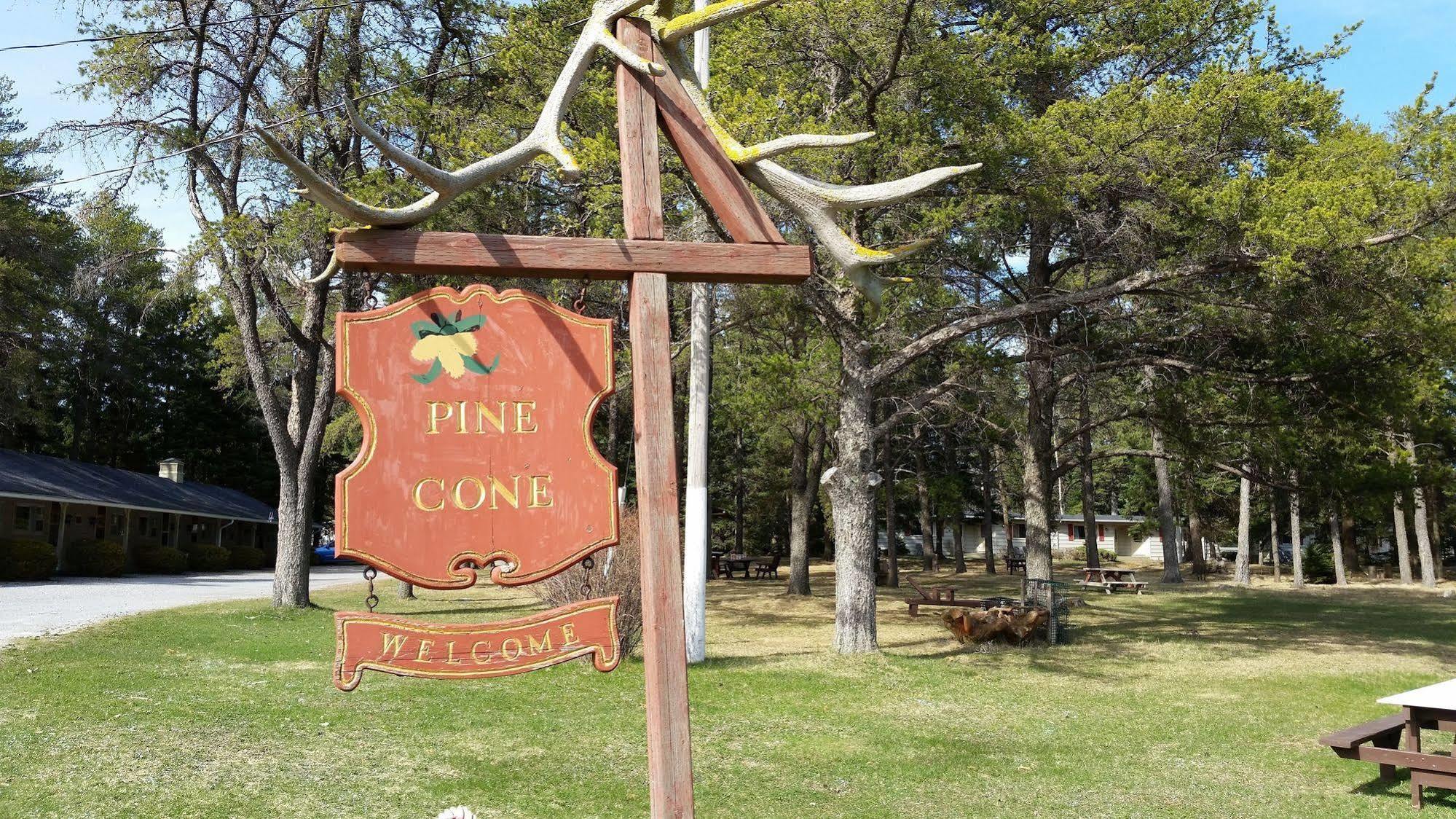 Pinecone Motel Sussex Zewnętrze zdjęcie