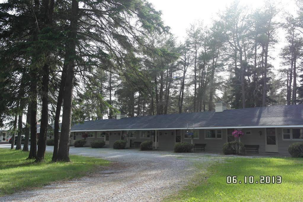 Pinecone Motel Sussex Zewnętrze zdjęcie