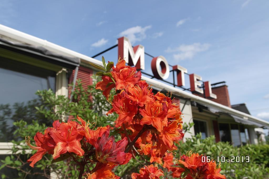 Pinecone Motel Sussex Zewnętrze zdjęcie