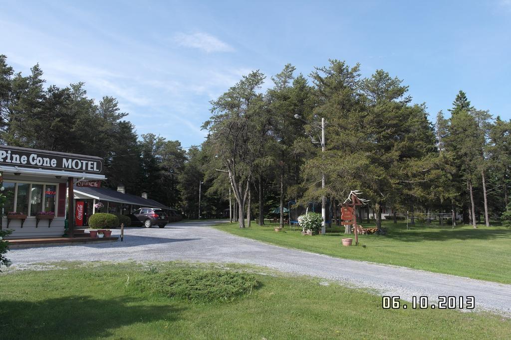Pinecone Motel Sussex Zewnętrze zdjęcie